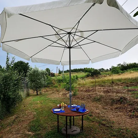 La Casa Delle Rose Holiday home Otricoli