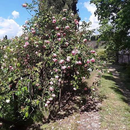 La Casa Delle Rose