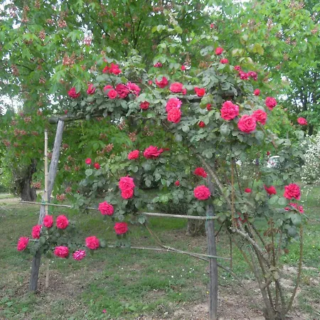 La Casa Delle Rose