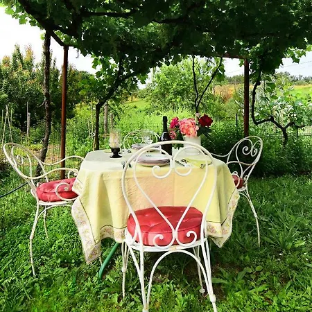La Casa Delle Rose *